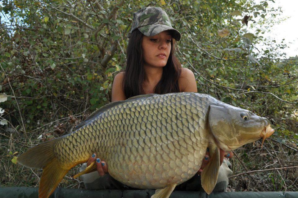 talent si frumusete - 417931377703052329524145756166n.jpg